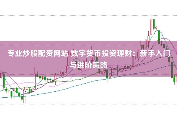 专业炒股配资网站 数字货币投资理财：新手入门与进阶策略