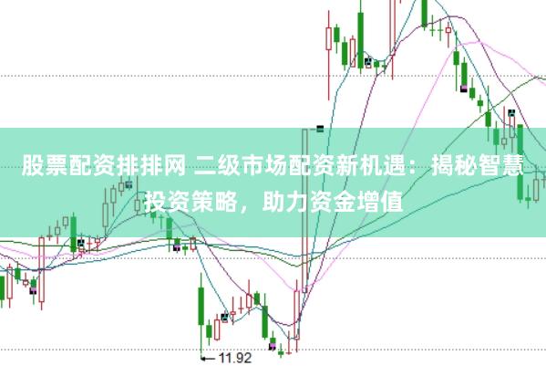股票配资排排网 二级市场配资新机遇：揭秘智慧投资策略，助力资金增值