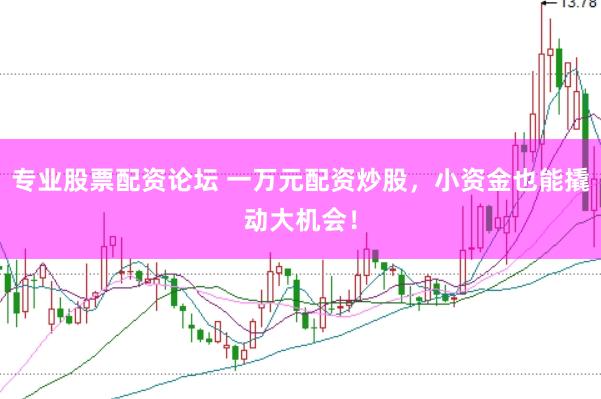 专业股票配资论坛 一万元配资炒股，小资金也能撬动大机会！