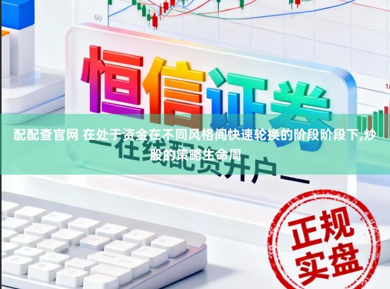 配配查官网 在处于资金在不同风格间快速轮换的阶段阶段下,炒股的策略生命周